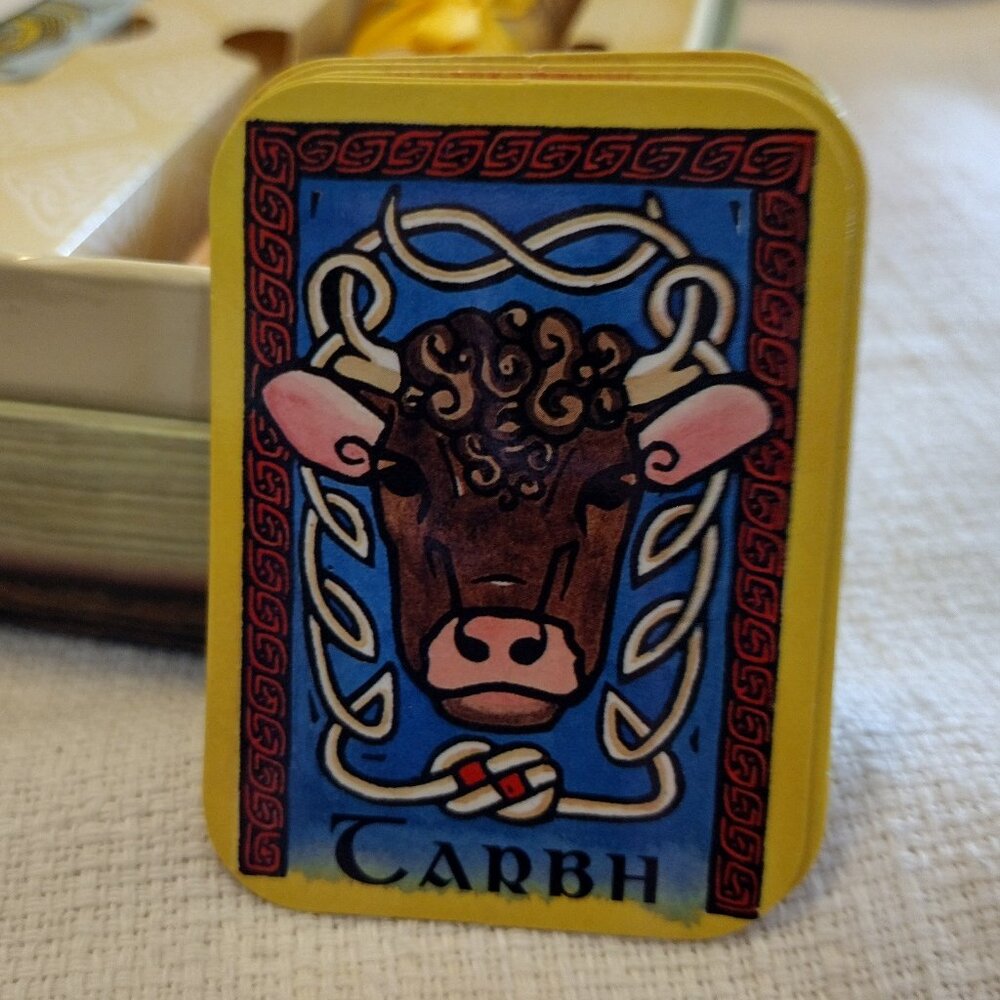 Celtic Oracle Boxed Set - Picture 11 of 14